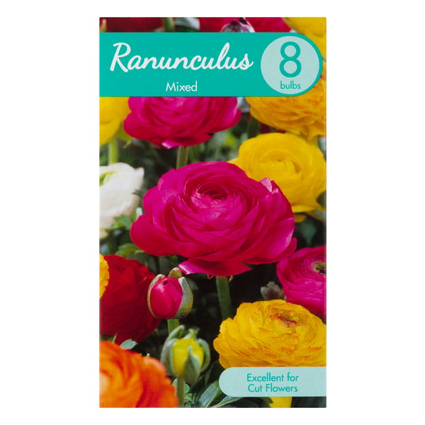 Garden State Bulb Company Ranunculus Mixed