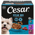 CESAR Filets in Gravy Beef Variety Pack Adult Wet Dog Food - 24 ct