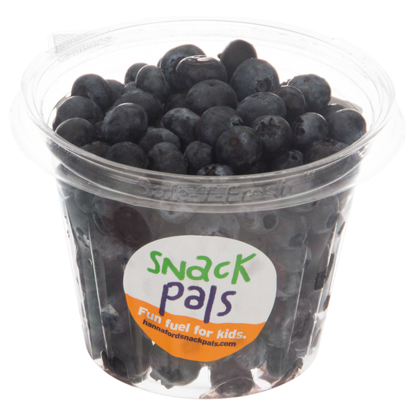 Hannaford Snack Pals Blueberries