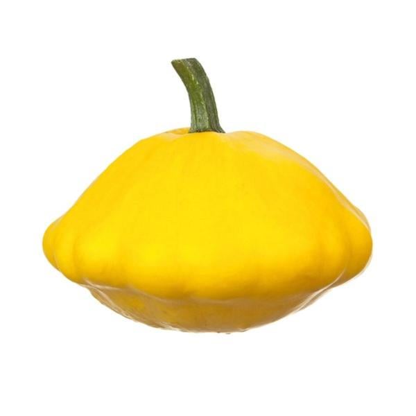 Pattypan Squash