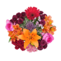 Giant Color Collection Transformative Supreme Bouquet