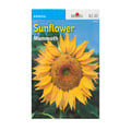 Burpee Annual Sunflower Mammoth