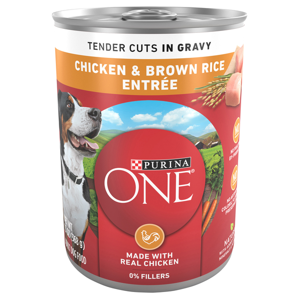 Purina ONE Tender Cuts in Gravy Chicken & Brown Rice Adult Wet Dog Food