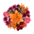 Giant Color Collection Transformative Majestic Bouquet