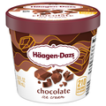 Haagen-Dazs Chocolate Ice Cream Single Serve