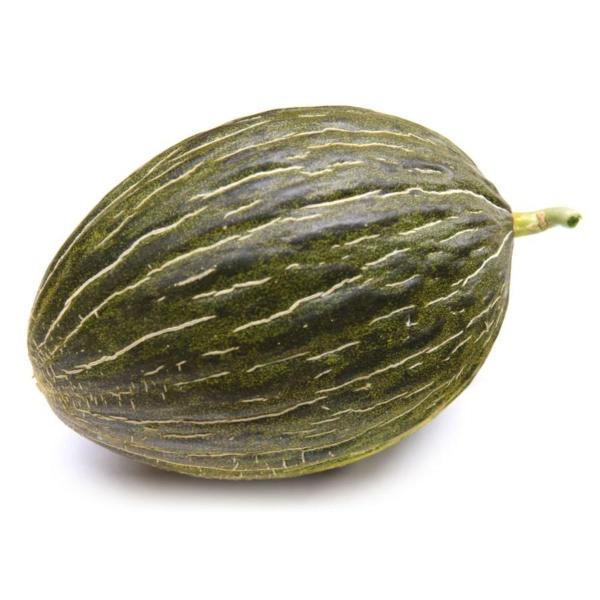 Piel De Sapo Melon