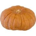 Calabaza Squash