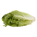 Organic Romaine Lettuce