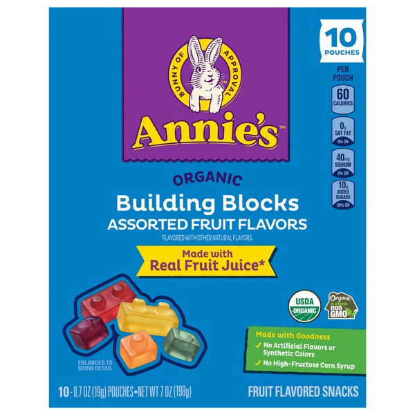 Annie's Organic Building Blocks Fruit Flavored Snacks - 10 ct