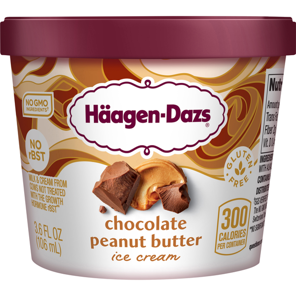 Haagen-Dazs Chocolate Peanut Butter Ice Cream Single Serve