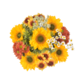 Sunflower Bouquet