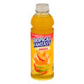 Tropical Fantasy Juice Cocktail Mango
