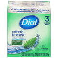 Dial Mountain Fresh Antibacterial Deodorant Soap Bar - 3 ct