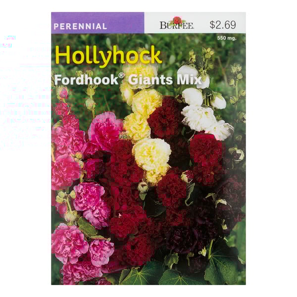 Burpee Perennial Hollyhock Fordhook Giants Mix