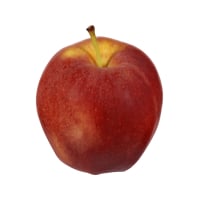 Organic Gala Apples