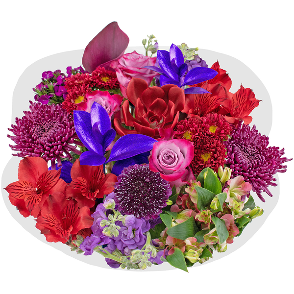 Our Brand Signature Bouquet (Colors May Vary)