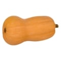 Organic Butternut Squash
