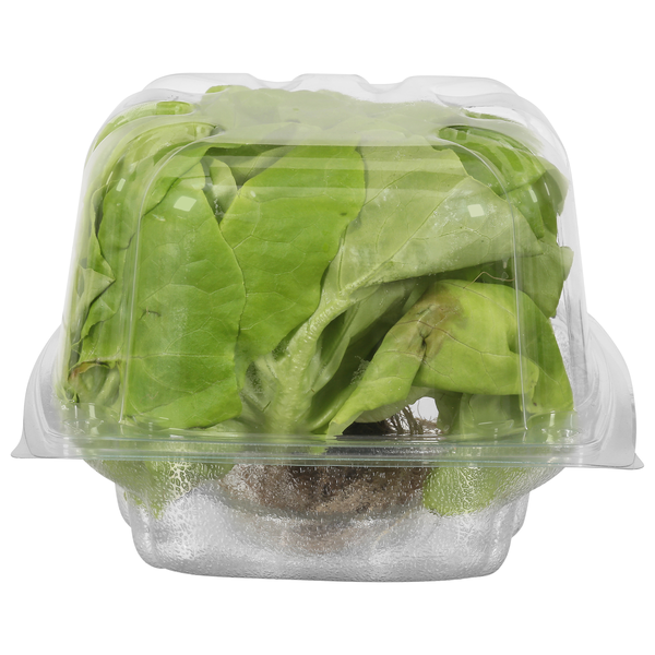 Food Lion Hydro Boston Lettuce