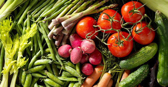 a variety of vegetables