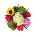 Blossoms of Spring Bouquet (Colors May Vary)