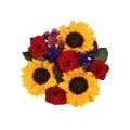 Summer in Color Bouquet (Colors May Vary)