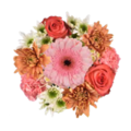 Giant Color Collection Calming Majestic Bouquet