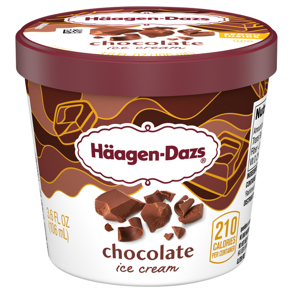 Haagen-Dazs Chocolate Ice Cream Single Serve