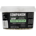 Companion Catnip