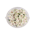 White Alstromeria