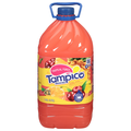 Tampico Tropical Punch Juice Drink