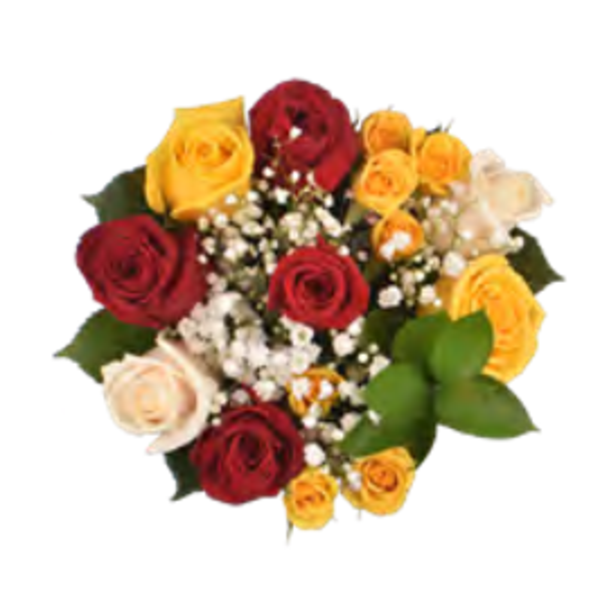 Giant Color Collection Coastal Vibe Rose Bouquet