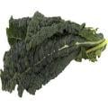Organic Lacinato Kale