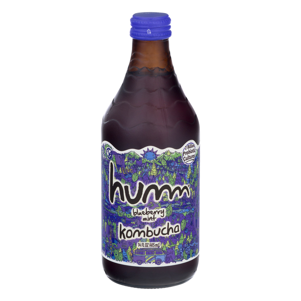 Save on Humm Kombucha Blueberry Mint Order Online Delivery MARTIN'S