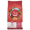 Purina ONE +Plus Natural Skin & Coat Formula Salmon Dry Dog Food