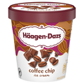 Haagen-Dazs Coffee Chip Ice Cream