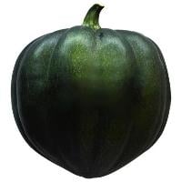 Acorn Squash