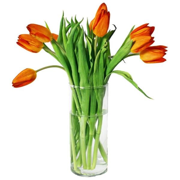 10 Stem Tulip Bouquet