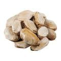 Steamer Clams Fresh