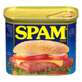 SPAM Classic Luncheon Meat