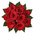 Red Roses Bunch