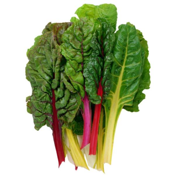 Organic Rainbow Swiss Chard