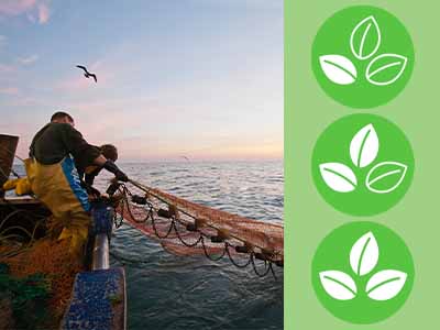 Shop more sustainably