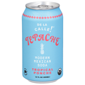 De La Calle! Organic Tropical Ponche Tepache Fermented Beverage