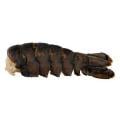 Hannaford Raw Lobster Tail