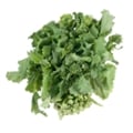 Broccoli Rabe