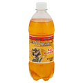 DG Kola Champagne Soft Drink Soda