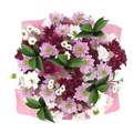 Pompon Fields Bouquet (Colors May Vary)