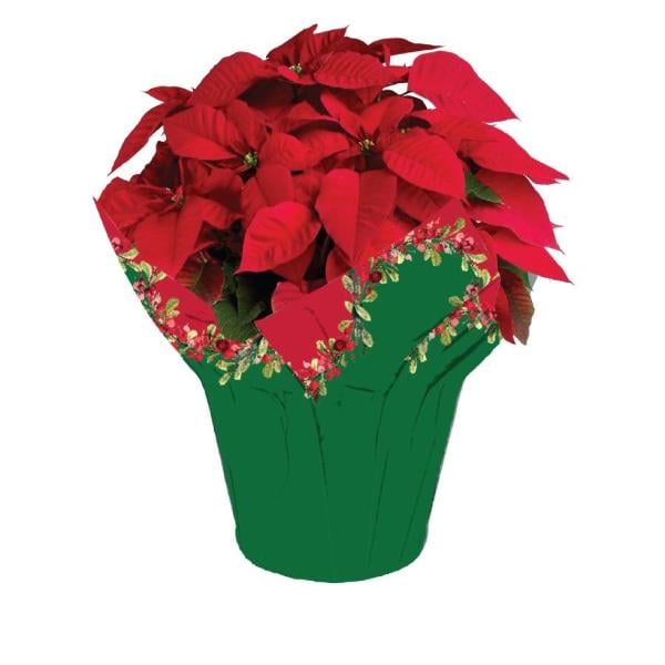 Our Brand Holiday Red Poinsettia 8 Inch