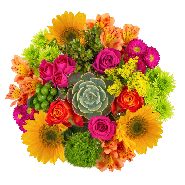 Giant Bloom & Grow May Bouquet