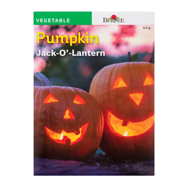 Burpee Vegetable Pumpkin Jack-O'-Lantern